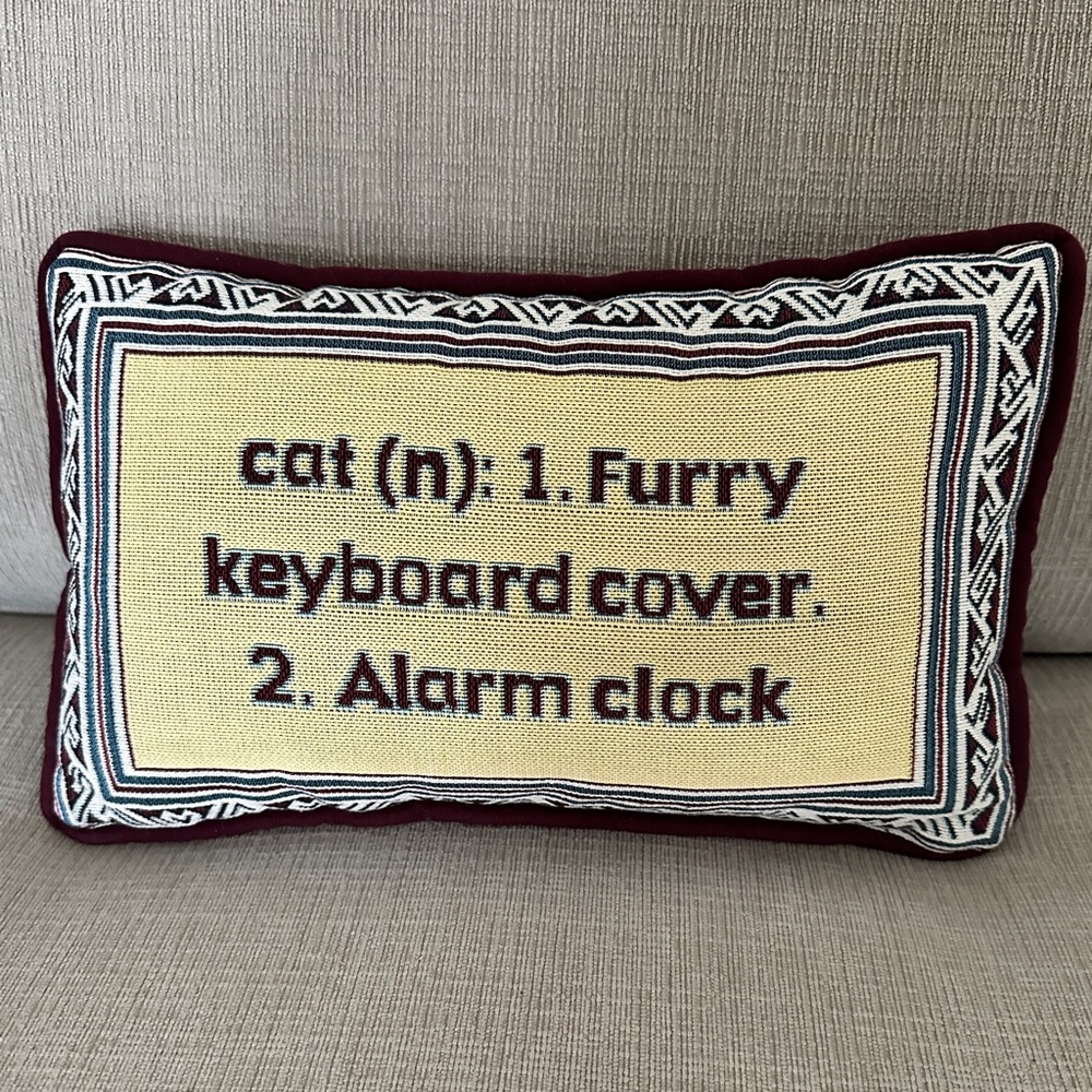 Decorative Cat Definition Pillow 7” x 13”